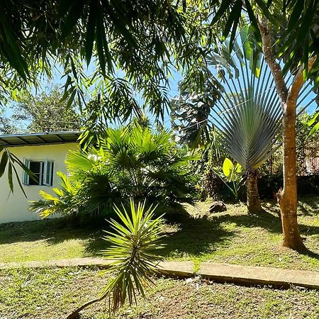 Blue Moon Guesthouse Puerto Princesa Екстер'єр фото