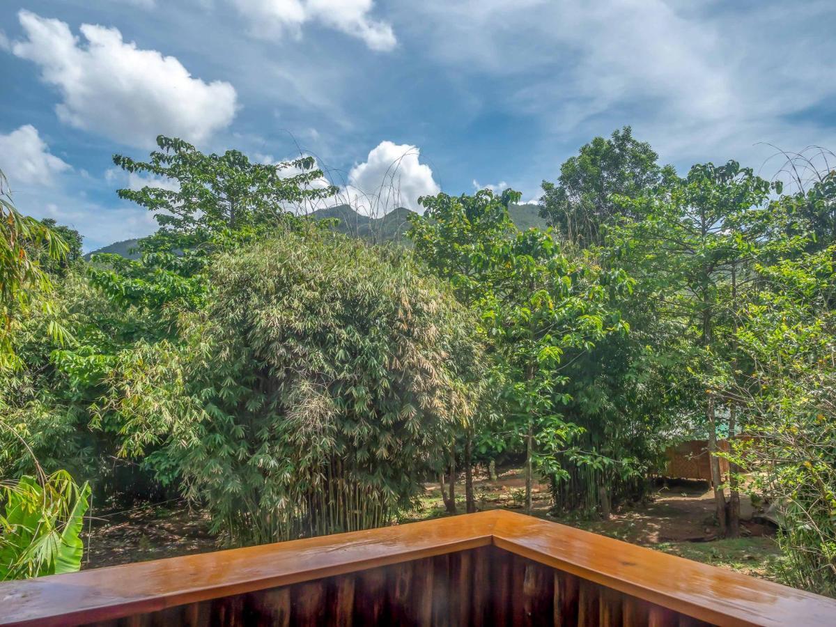 Blue Moon Guesthouse Puerto Princesa Екстер'єр фото
