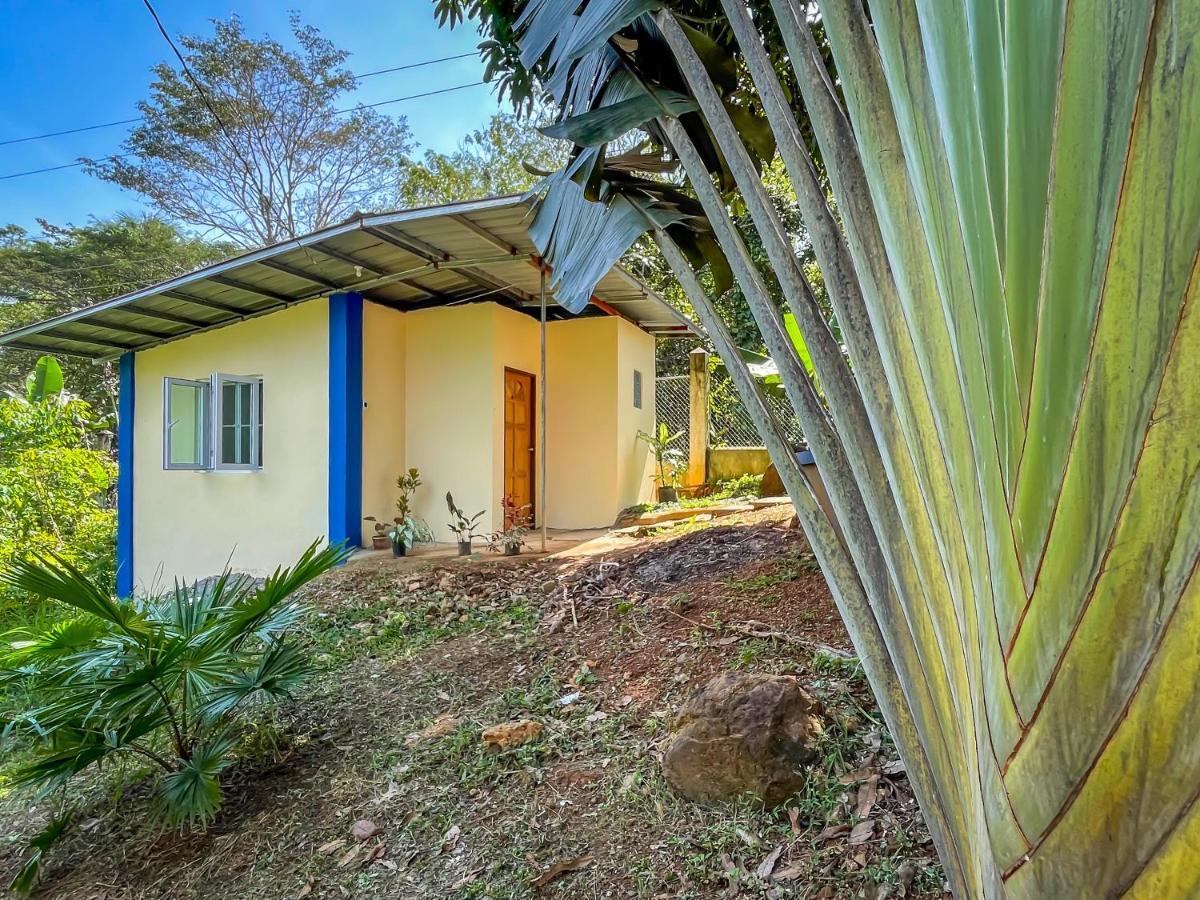 Blue Moon Guesthouse Puerto Princesa Екстер'єр фото