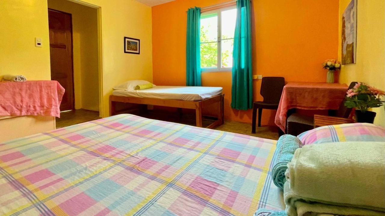 Blue Moon Guesthouse Puerto Princesa Екстер'єр фото