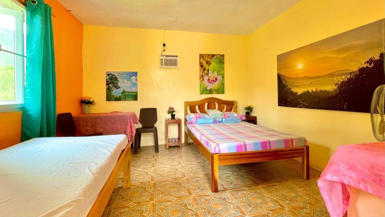 Blue Moon Guesthouse Puerto Princesa Екстер'єр фото