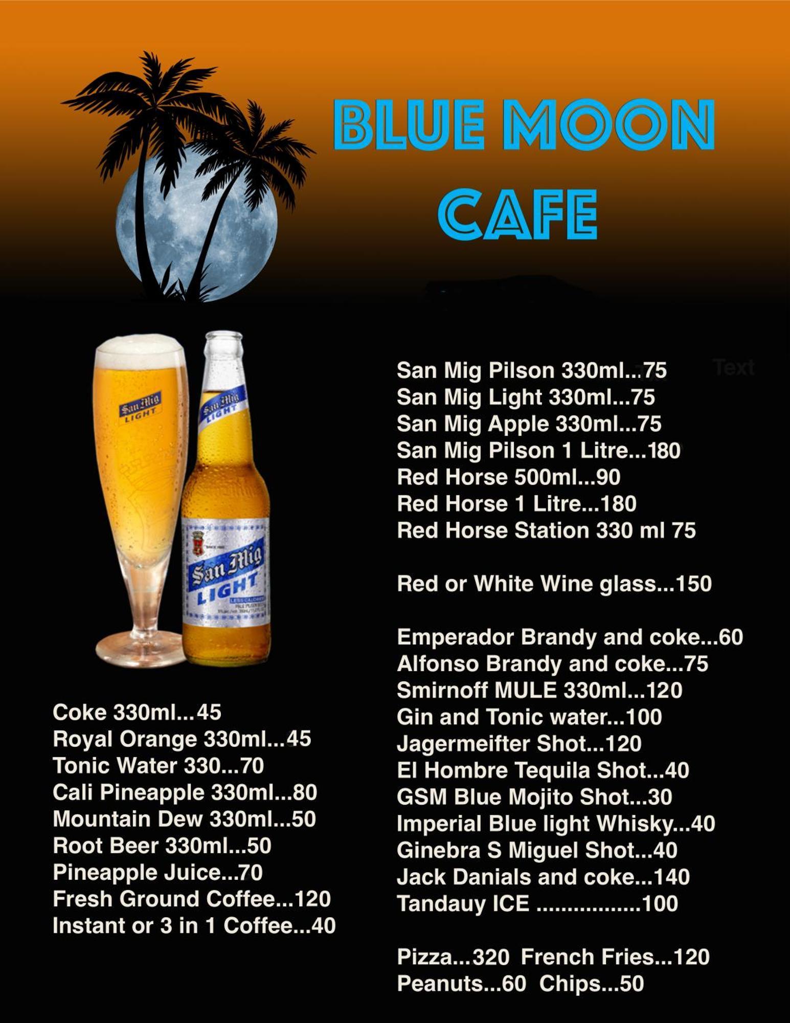 Blue Moon Guesthouse Puerto Princesa Екстер'єр фото